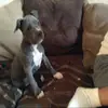 george_torres - @george_torres - TikTok