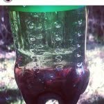 George Trahan - @codeine4sale1 - Instagram