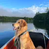 George Trahan - @george.trahan5 - TikTok