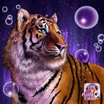 George - @georgetremblay_6900 - Instagram