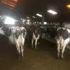 Alfie George Trott - @user461382179 - TikTok