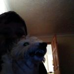 george trott - @it_yo_boi_skinny_ppeenis - Instagram