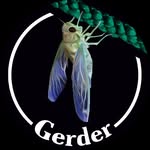 George Turner - @gtmacro_ - Instagram