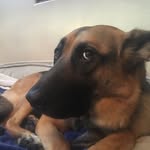 George Tye - @tye3610 - Instagram