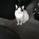 George Tye - @george_tye_7 - Instagram