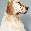 georgevailjordan - @georgevailjordan - TikTok