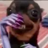 geo - @george.uvalle - TikTok