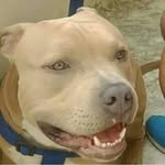George valle - @valle7726 - Instagram