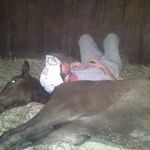 George VanHoose - @vanhooseg - Instagram