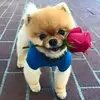 Varkey George - @varkeygeorge7 - TikTok