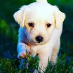 George Vasu - @georgevasu87 - Instagram