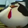 George Venables766 - @georgevenables766 - TikTok