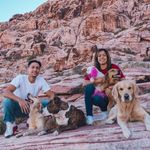 George Vera - @george_dogtrainer - Instagram