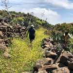 George Vossenberg - @georgevossenberg - Instagram