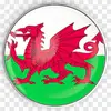 George Wales - @george.wales64 - TikTok