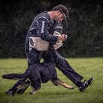 George Walker - @gw_dogsport - Instagram