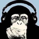 George Walling - @gsw.chimp - Instagram