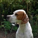 George Watterson - @georgewatterson - Instagram