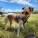 George Webster - Facebook
