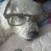 George Weed - Facebook