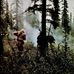 George Weed - Facebook
