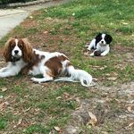 George Wesley & Marty Huggins - @georgewesley_martyparty - Instagram