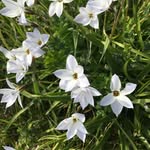 George Westerman - @_georgew_55 - Instagram
