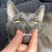 George Whitten - Facebook