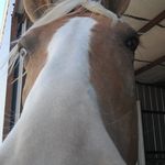 @whitten.george - Instagram