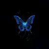 George Whitton - @george.whitton2003 - TikTok