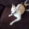 George Whitty - @george.whitty - TikTok