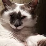 @george_why__ - Instagram