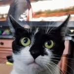 George Wilbur - @gwilbur38 - Instagram
