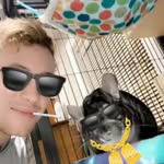 George Wilbur the chinchilla - @two__chain_chin - Instagram