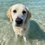 Wilbur - @wilbur__george_ - Instagram