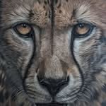 🌸Owain George🌸 - @georgewildlifeart - Instagram