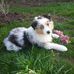 George Wilhelm - Facebook