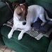 George Wilhelm - Facebook