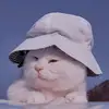 georgewilhelm_3276 - @georgewilhelm_3276 - TikTok