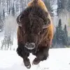 wilhelmgeorge - @wilhelmgeorge - TikTok