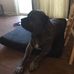 George Wilk - Facebook