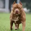 George Williams - @george.williamsdonald - TikTok