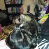 George Willison - @george.willison - TikTok