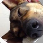 @george_willson._ - Instagram