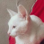 George Winchester - @ggeorge130 - Instagram