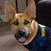 Winchester George  - Facebook