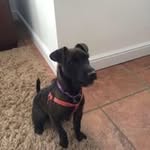 George Winfield - @georgewinfield1 - Instagram
