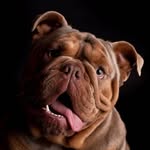 George & winston - @devinefinish_ - Instagram