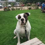 George Winston - @george.winston.5477 - Instagram