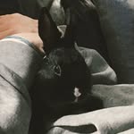 George Winston - @georgewinstin - Instagram
